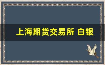 上海期货交易所 白银(上海期货交易所白银期货最新报价)_https://www.jumanxin.com_深交所_第1张